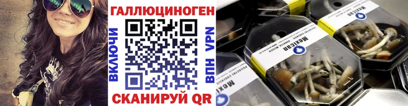 продажа наркотиков Малая Вишера даркнет какой сайт Псилоцибиновые грибы прущие грибы